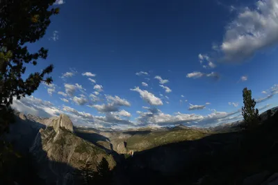 DSC_4209 (Large).JPG